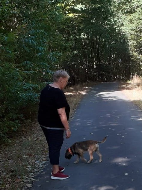 Border Terrier Basko