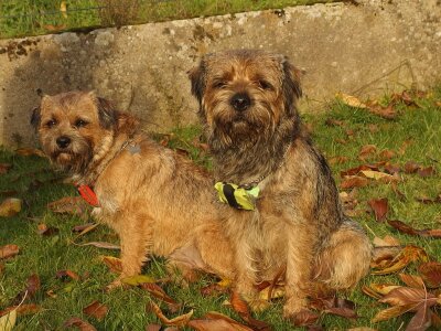 Paulina (links) mit Edgar (rechts)